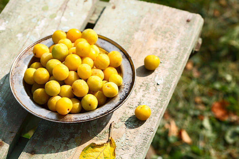 3 Mirabellenlikör-Rezepte | Mirabellen.info